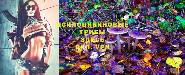 таблы Алзамай