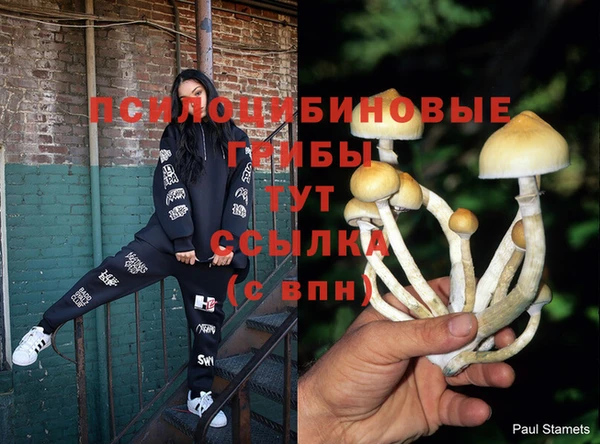 скорость Алексин
