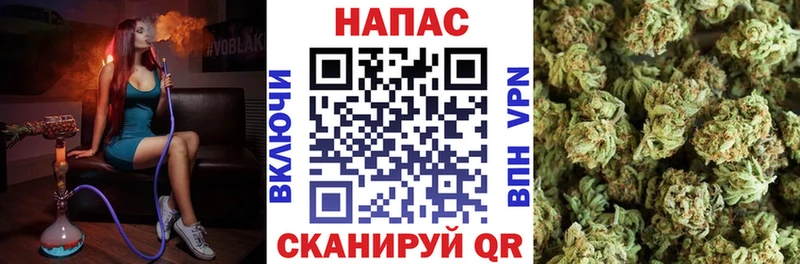 закладка ссылка на мегу как зайти Конопля тримм Раменское